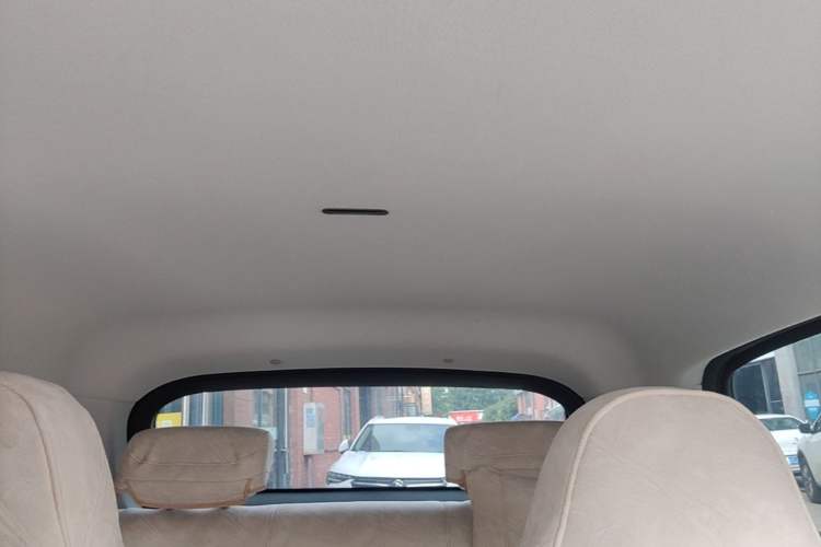 Used Leapmotor T03 2023 310 Lite Edition Headliner