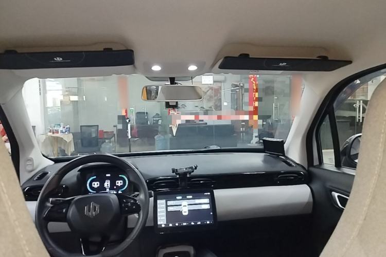 Used Leapmotor T03 2023 403 Lite Edition Headliner