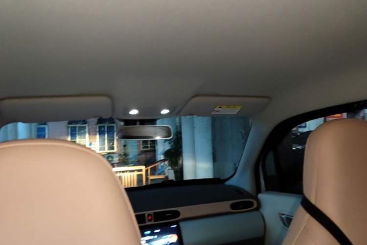 Used Leapmotor T03 2023 310 Lite Edition Headliner
