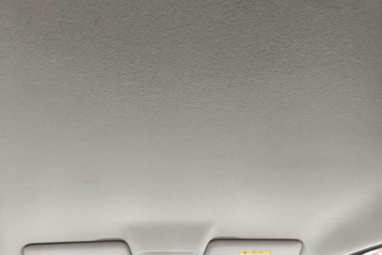 Used Leapmotor T03 2023 310 Lite Edition Headliner