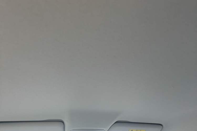 Used Leapmotor T03 2023 310 Lite Edition Headliner