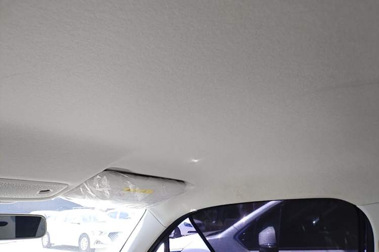 Used Leapmotor T03 2023 403 Smart Edition Headliner