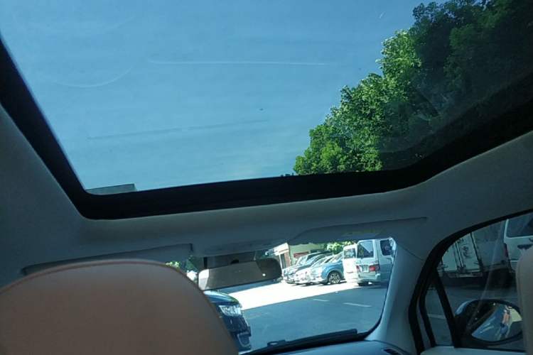 Used Leapmotor T03 2023 403 Smart Edition Headliner