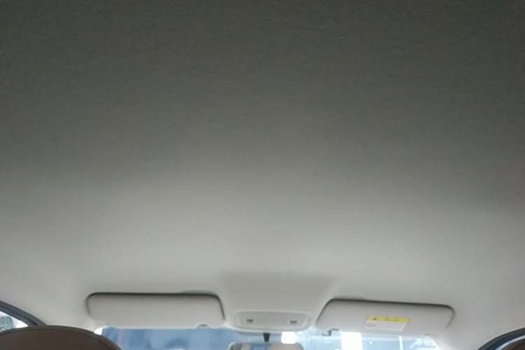 Used Leapmotor T03 2023 310 Lite Edition Headliner