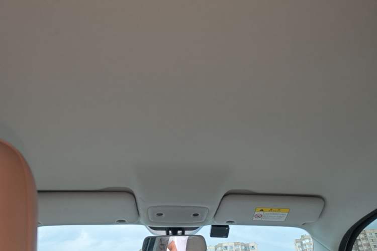 Used Leapmotor T03 2023 403 Lite Edition Headliner