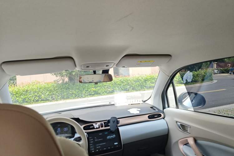 Used Leapmotor T03 2023 310 Lite Edition Headliner