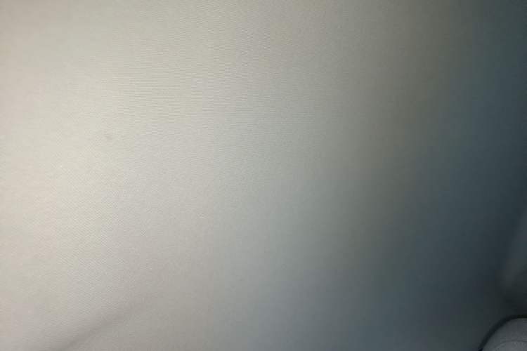 Used Leapmotor T03 2023 310 Lite Edition Headliner