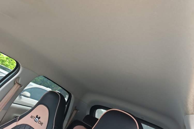 Used Leapmotor T03 2023 310 Lite Edition Headliner