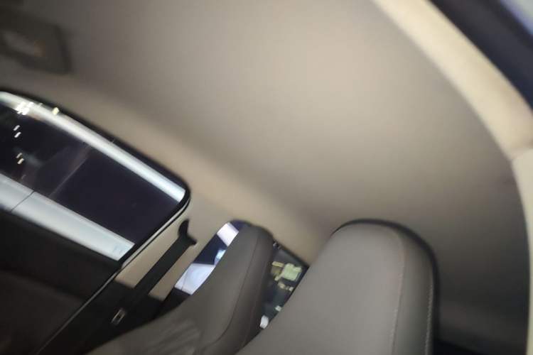 Used Leapmotor T03 2023 403 Smart Edition Headliner