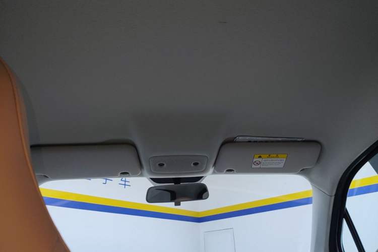 Used Leapmotor T03 2023 310 Lite Edition Headliner