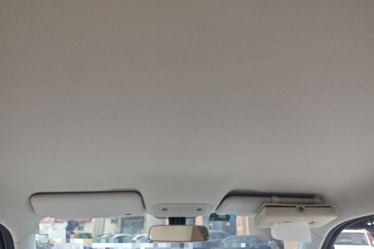 Used Leapmotor T03 2023 310 Lite Edition Headliner