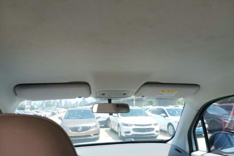 Used Leapmotor T03 2023 310 Lite Edition Headliner