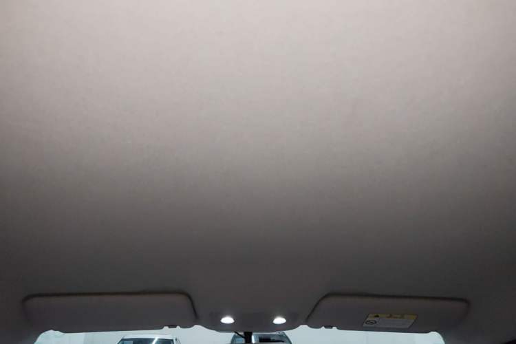 Used Leapmotor T03 2023 310 Lite Edition Headliner