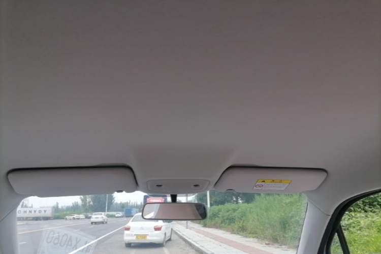 Used Leapmotor T03 2023 310 Lite Edition Headliner