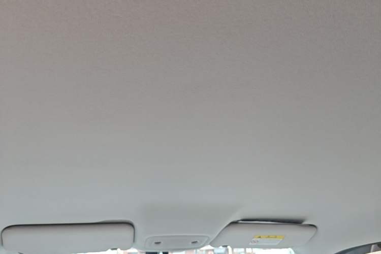 Used Leapmotor T03 2023 310 Lite Edition Headliner