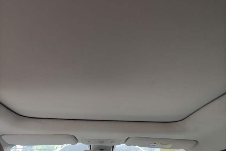Used Leapmotor T03 2023 403 Smart Edition Headliner