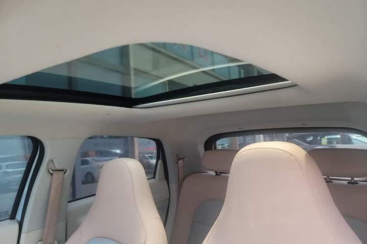 Used Leapmotor T03 2023 403 Smart Edition Headliner