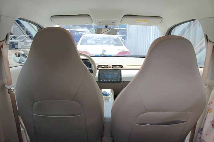 Used Leapmotor T03 2023 310 Lite Edition Headliner