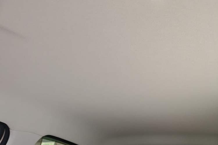 Used Leapmotor T03 2023 310 Lite Edition Headliner