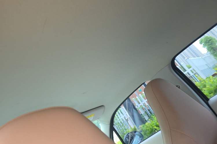 Used Leapmotor T03 2023 310 Lite Edition Headliner