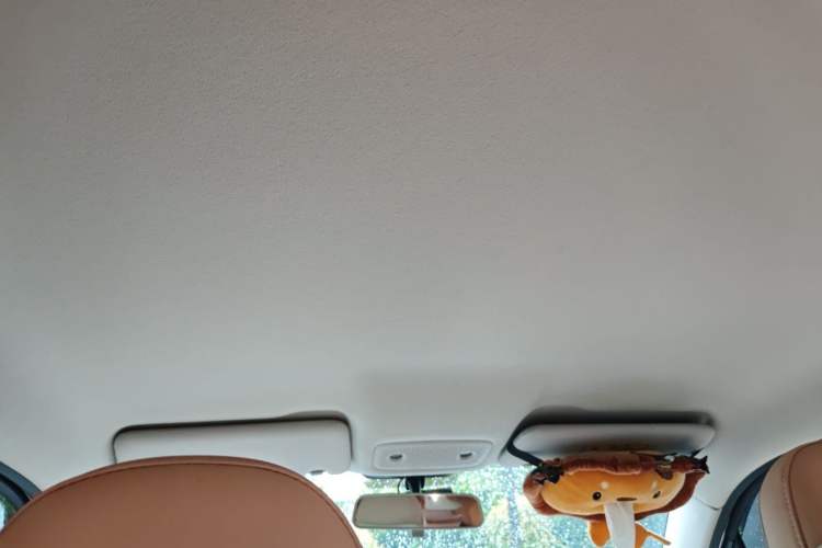 Used Leapmotor T03 2023 310 Lite Edition Headliner