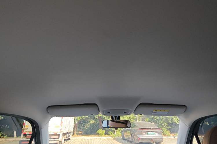 Used Leapmotor T03 2023 310 Lite Edition Headliner