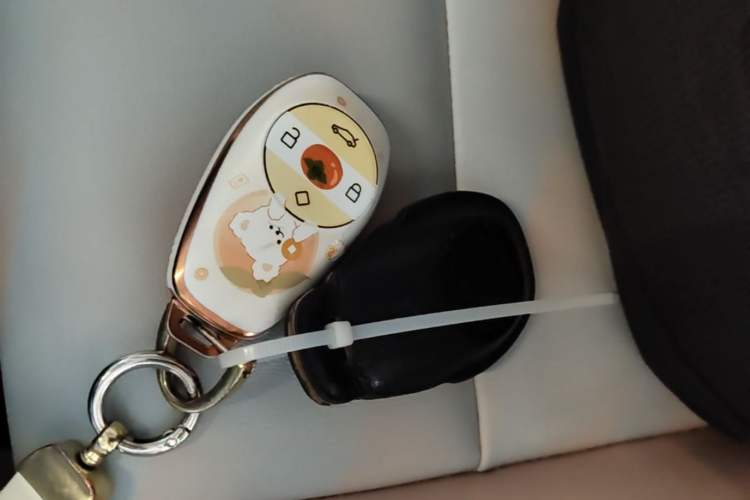 Used Leapmotor T03 2023 403 Smart Edition Interior 1