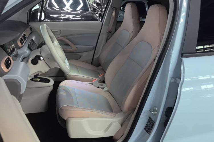 Used Leapmotor T03 2023 310 Lite Edition Left Front Seat