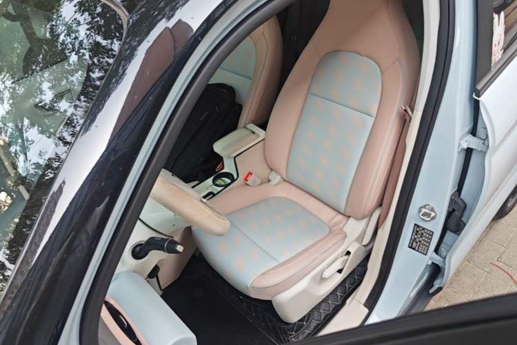 Used Leapmotor T03 2023 403 Smart Edition Left Front Seat