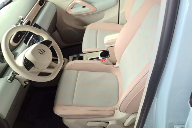 Used Leapmotor T03 2023 403 Smart Edition Left Front Seat