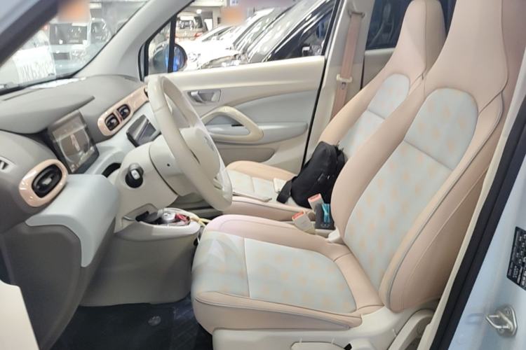 Used Leapmotor T03 2023 403 Smart Edition Left Front Seat