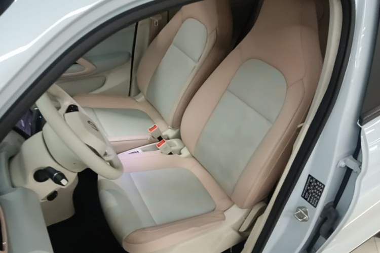 Used Leapmotor T03 2023 310 Lite Edition Left Front Seat