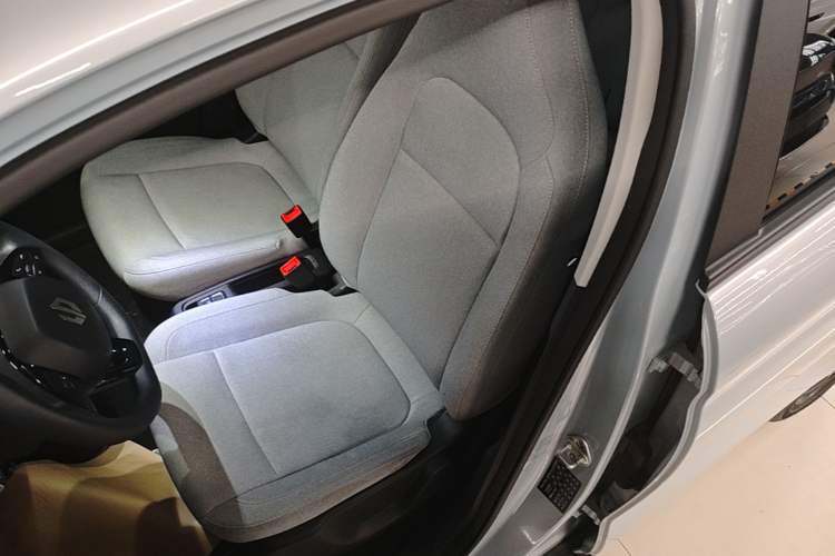 Used Leapmotor T03 2023 310 Lite Edition Left Front Seat