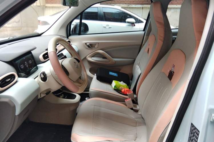 Used Leapmotor T03 2023 310 Lite Edition Left Front Seat