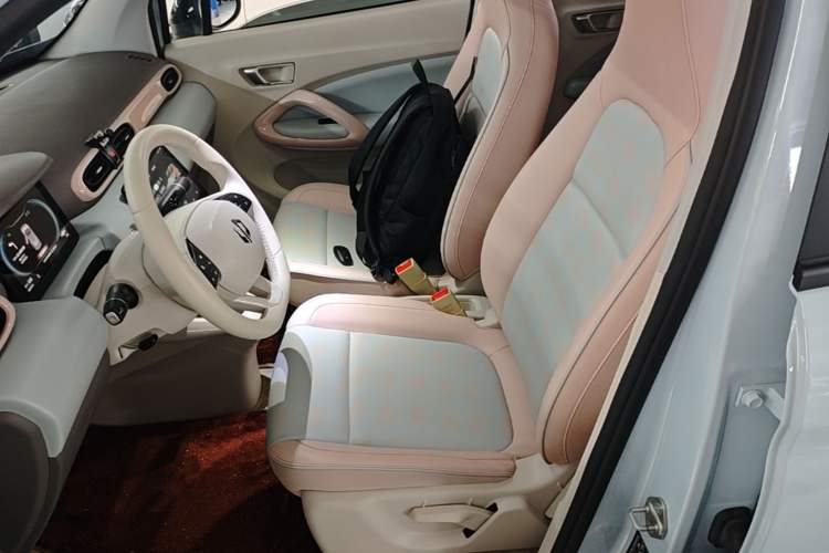 Used Leapmotor T03 2023 403 Smart Edition Left Front Seat