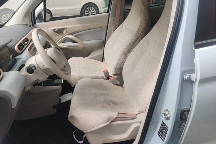 Used Leapmotor T03 2023 310 Lite Edition Left Front Seat