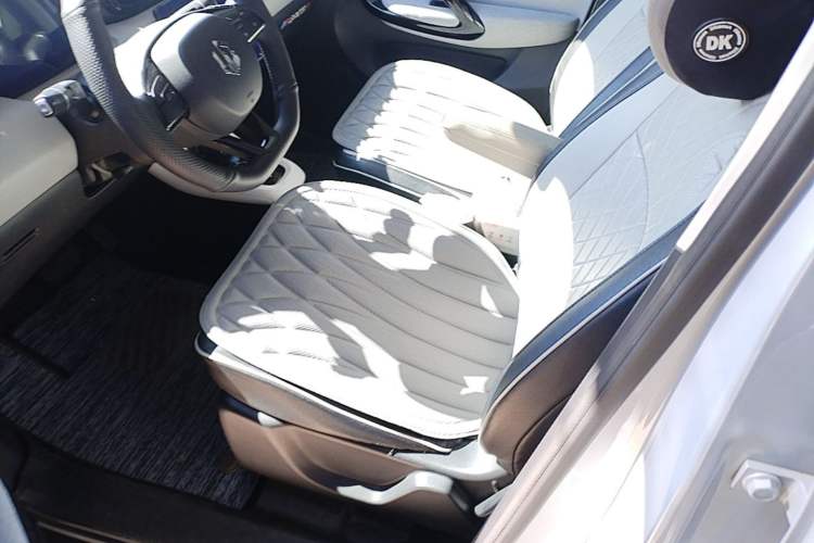 Used Leapmotor T03 2023 403 Smart Edition Left Front Seat