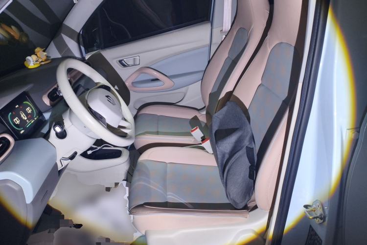 Used Leapmotor T03 2023 310 Lite Edition Left Front Seat