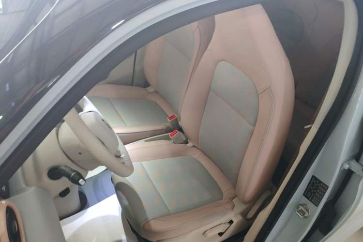 Used Leapmotor T03 2023 403 Smart Edition Left Front Seat
