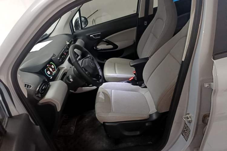 Used Leapmotor T03 2023 310 Lite Edition Left Front Seat