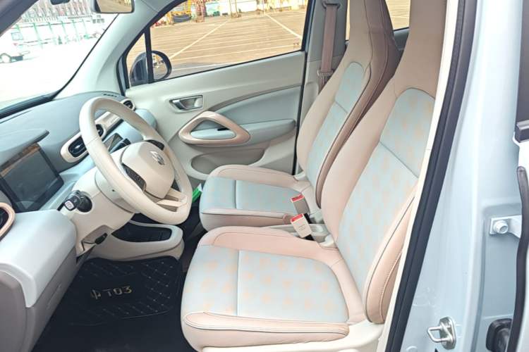 Used Leapmotor T03 2023 310 Lite Edition Left Front Seat
