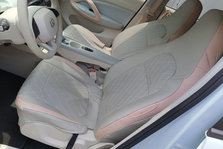 Used Leapmotor T03 2023 310 Lite Edition Left Front Seat