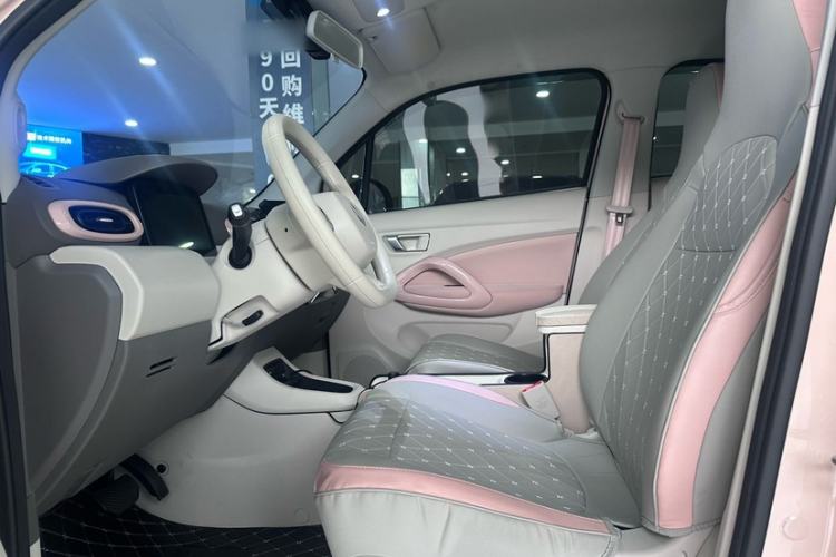 Used Leapmotor T03 2023 310 Lite Edition Left Front Seat