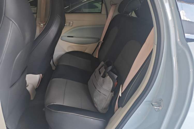 Used Leapmotor T03 2023 310 Lite Edition Left Rear Seat