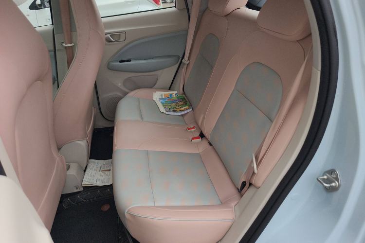 Used Leapmotor T03 2023 403 Smart Edition Left Rear Seat