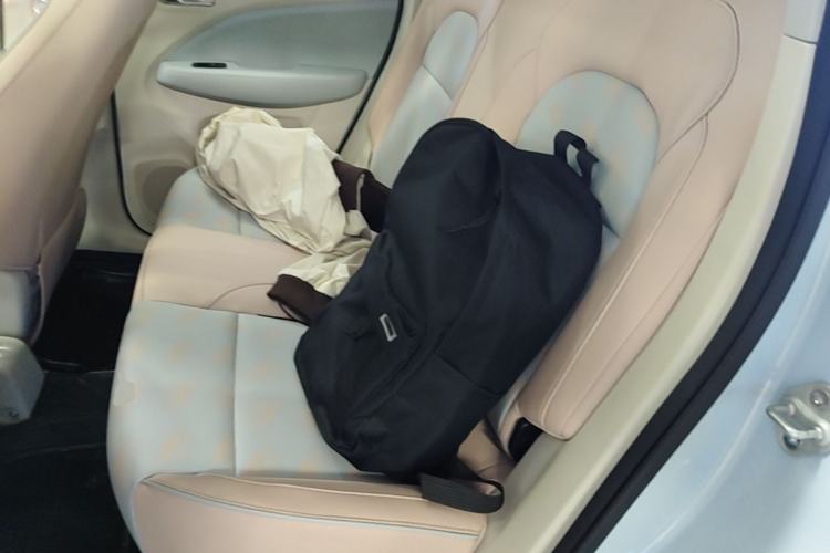 Used Leapmotor T03 2023 403 Smart Edition Left Rear Seat
