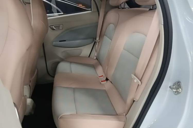 Used Leapmotor T03 2023 310 Lite Edition Left Rear Seat