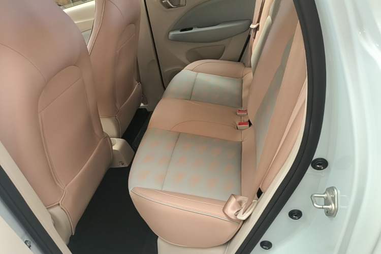 Used Leapmotor T03 2023 310 Lite Edition Left Rear Seat