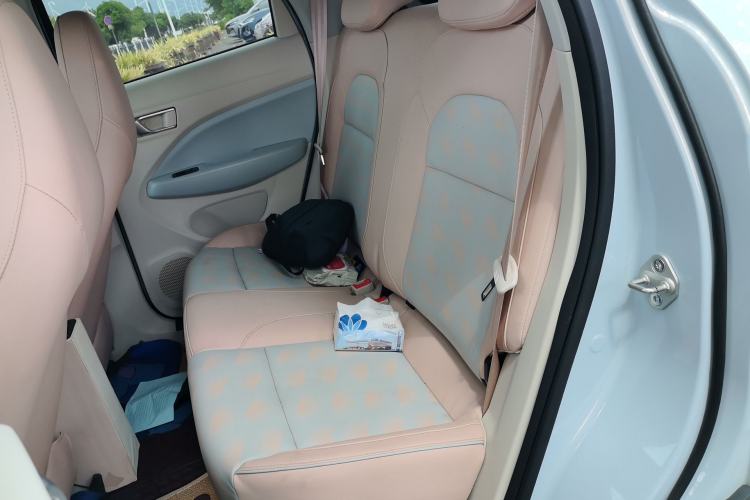 Used Leapmotor T03 2023 403 Lite Edition Left Rear Seat