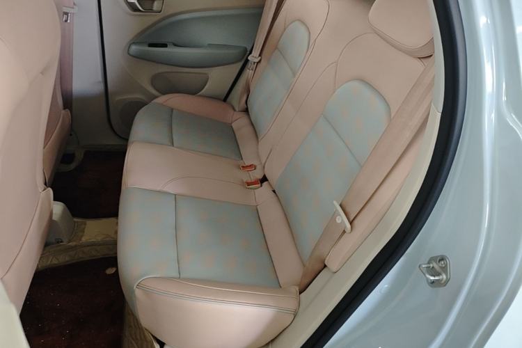 Used Leapmotor T03 2023 403 Smart Edition Left Rear Seat
